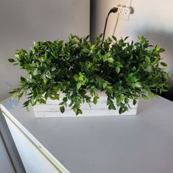 Home Decoration
