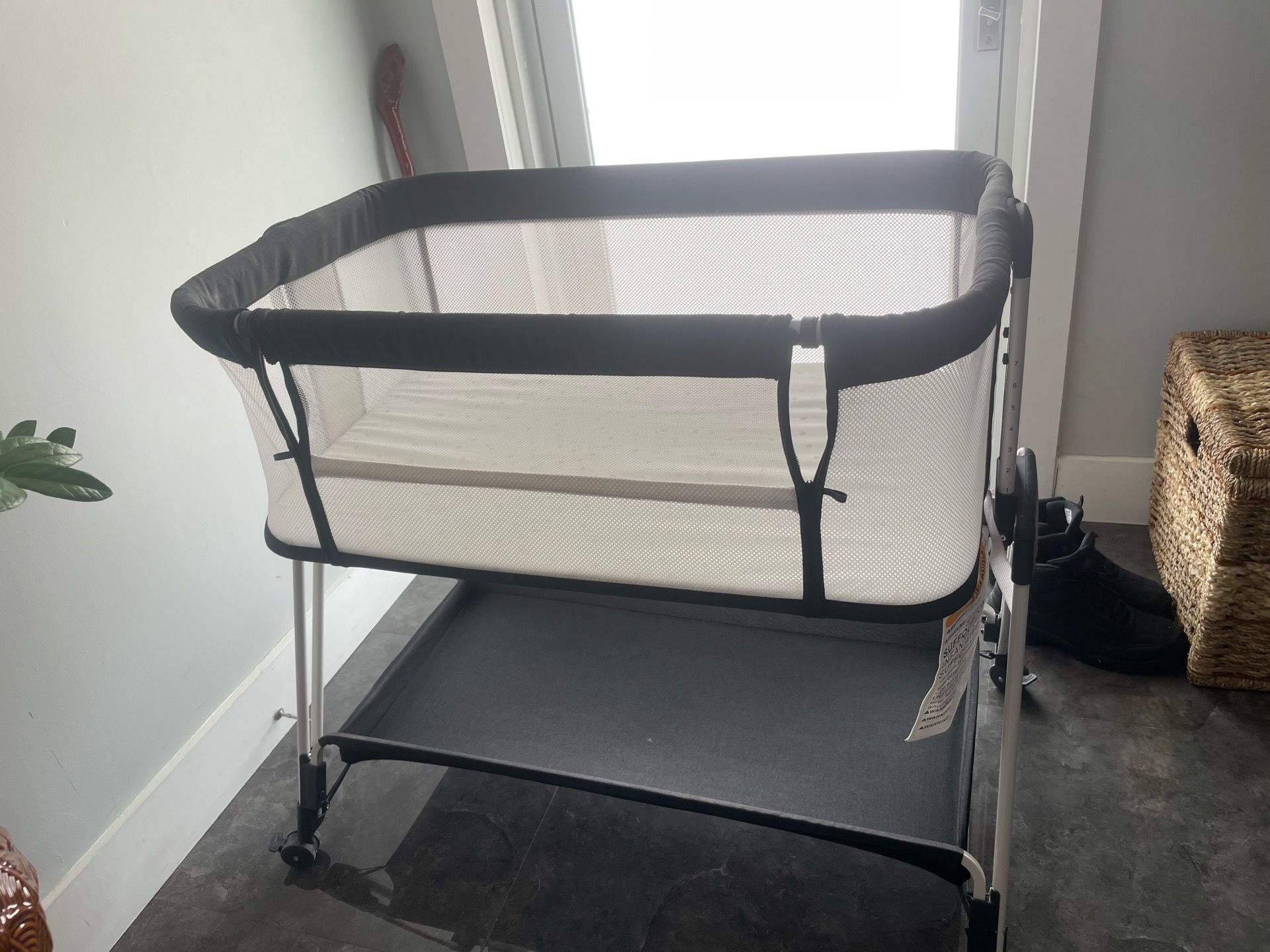 Bassinet