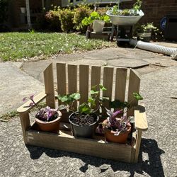 🪵Handmade Wooden Mini Bench Planter🌸