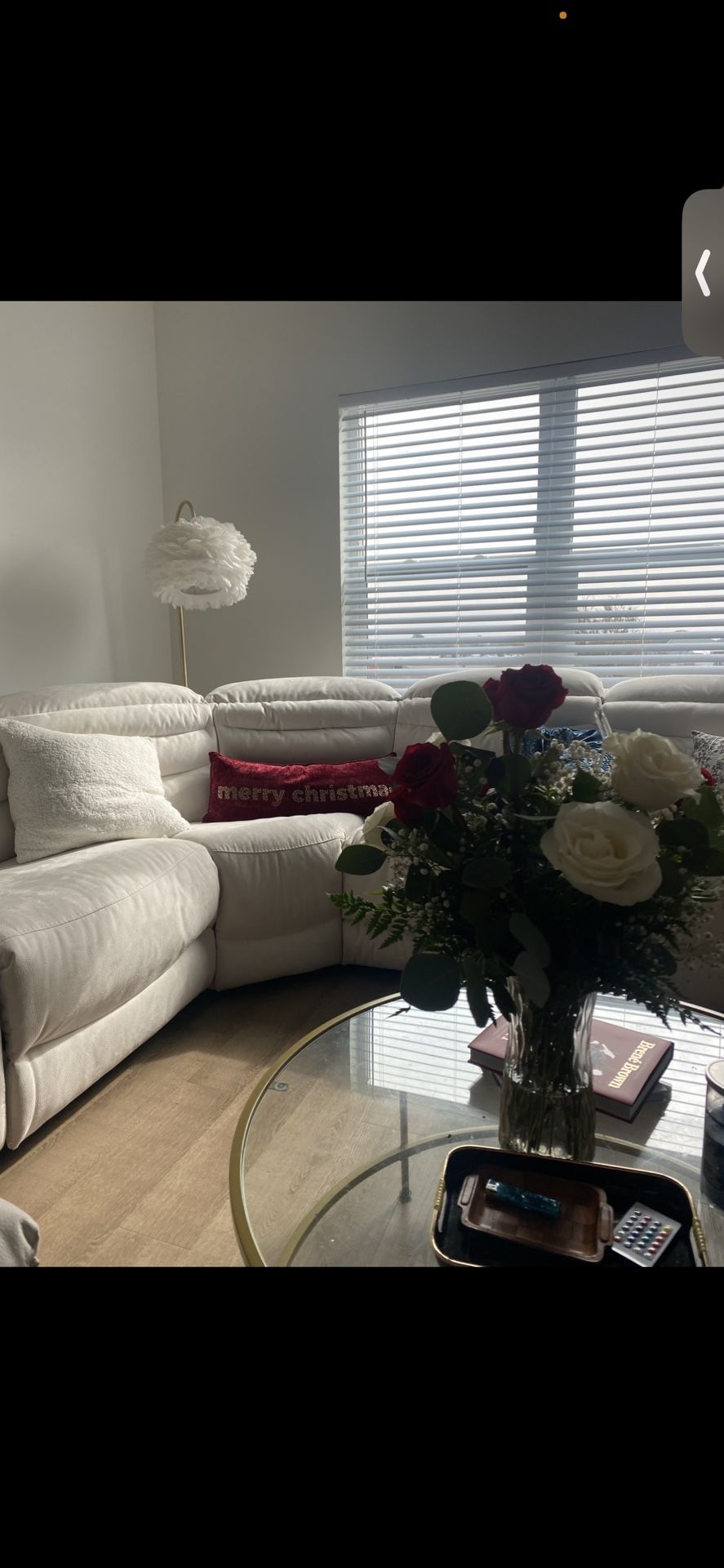 White Sectional Couch