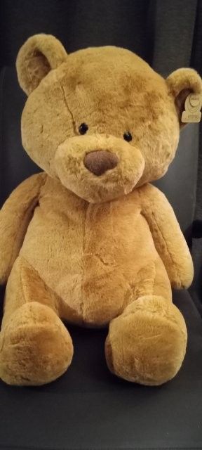 Big 🧸 Teddy Bear