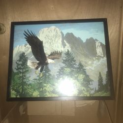  Bald Eagle Painting 