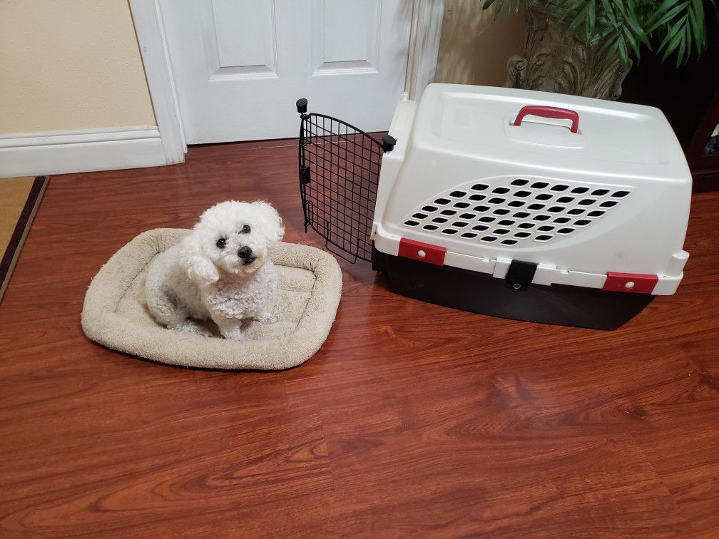 Medium Size Plastic Dog Crate With Bed Very Clean. Measurements In Description 