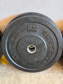 Rogue get RX’d 25lb bumper plates pair