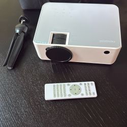 1080p Home / Outdoor Projector