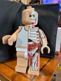 Jason freeny bigger micro anatomic