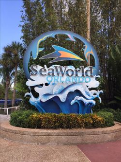 Seaworld Tickets