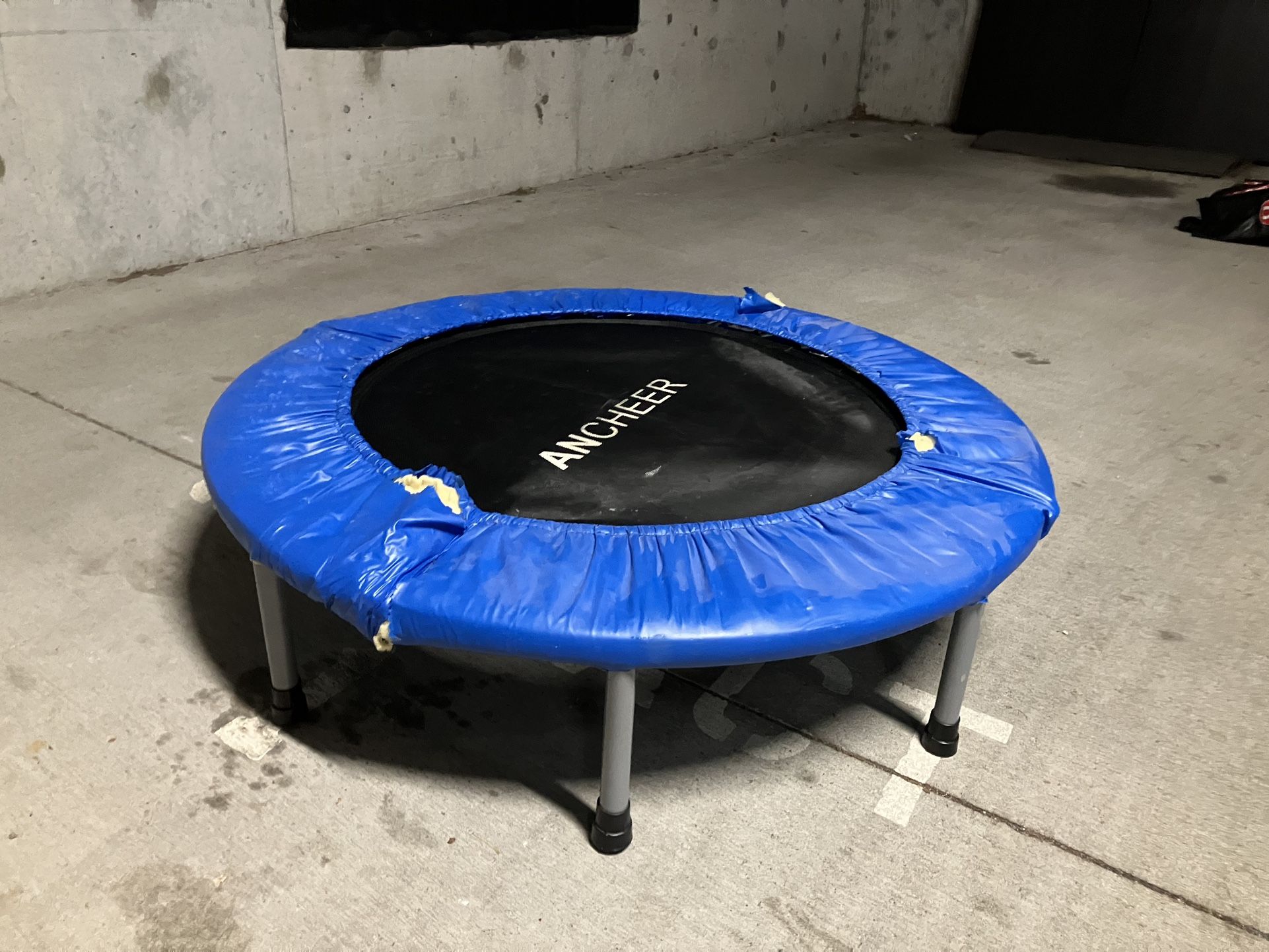 Free Mini Fitness Trampoline