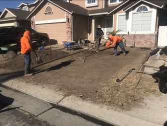 Synthetic Grass Installation Professional job