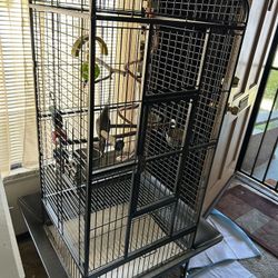Bird Cage With Extras