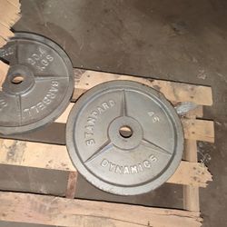 Olympic Style Weights And Dumbbells