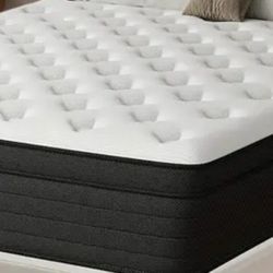 Queen Mattress Only 6 Mos New FREE