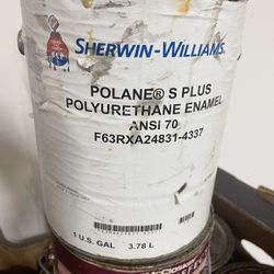 Paint. 1 Gallon 