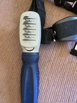 Lucky leash and brush