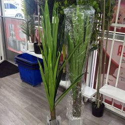 Haihong palm 4 feet 2pcs