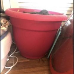 Plant Pot Pink Extra Large Tree Or Plant