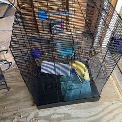 Birdcage 3ft By 2ft