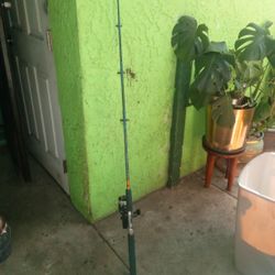 Fishing Pole 