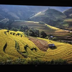 Hisense 75 Inch QLED tv