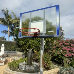 Lifetime Adjustable Hoop