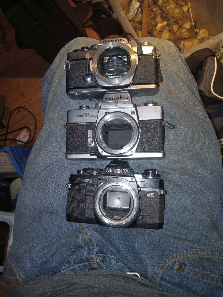 Vintage 35 Mm Cameras and Lenses