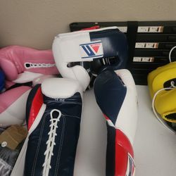 A Full Boxing  Set With FREE  Handwraps 
