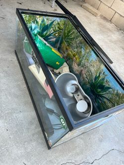 Pareja de tortugas
