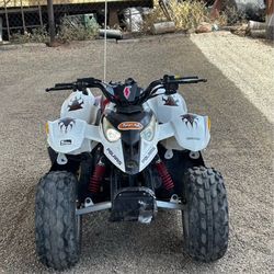 2017 Polaris Predator 50cc