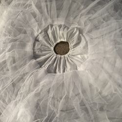 Petticoat Skirt 