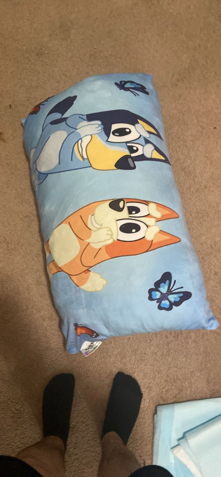 Bluey Long Pillow