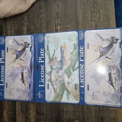 Fishing License plates