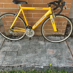 Jamis Comet Med Old School Road Bike