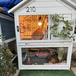 Gunnies Pig/Rabbit cage 