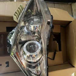 Lamp Assembly Drivers Side