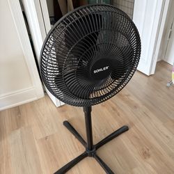 Fan