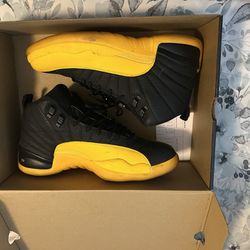 Jordan 12 Size 10.5