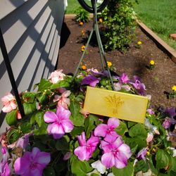 3D Printed Outer Banks Gold 