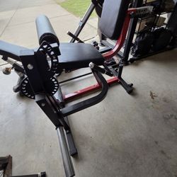 GMWD Leg Extension & Curl