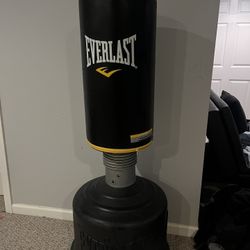 Everlast Punching Bag