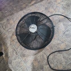 Fan