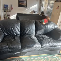 Black Leather Sofa / Couch – Pet-Friendly Home