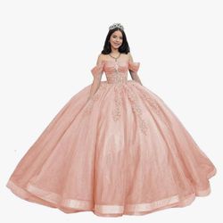Quinceañera Dress Pink Size 14 New