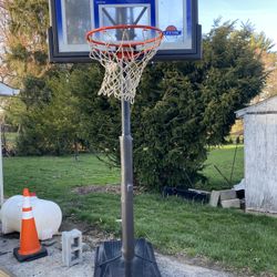 Lifetime Basketball Hoop 