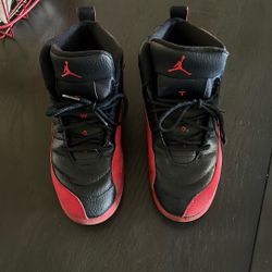 Jordan 12