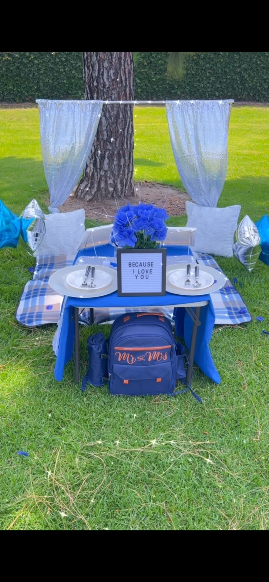 Picnic Celebration