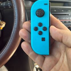 Nintendo Switch Controller 