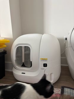 Automatic litter box with app works perfectly!!i