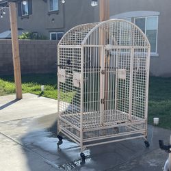 Bird Cage 