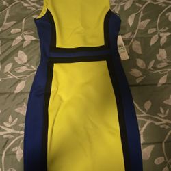 Calvin Klein Dress New