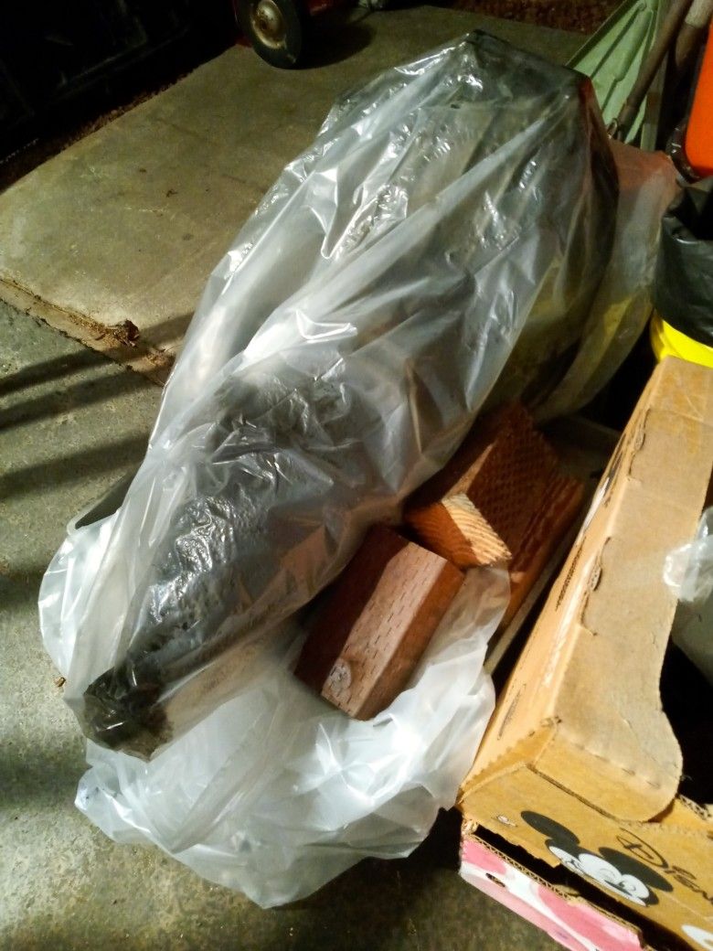 Mustang 1999 V6 Transmission Special Edition $300